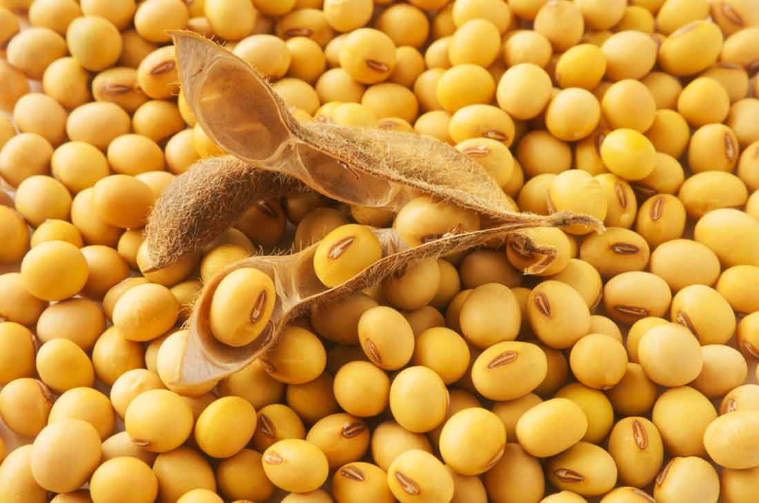4 razones por la que tienes que incluir soya en tu dieta 0