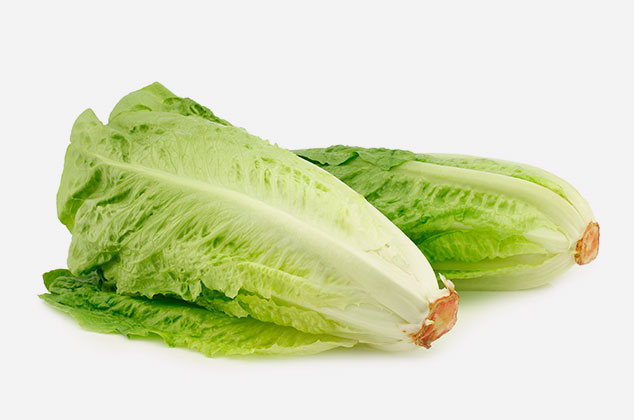 Diccionario de tipos de lechuga: romana