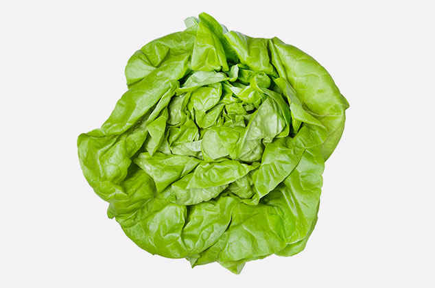 Diccionario de tipos de lechuga: francesa o trocadero