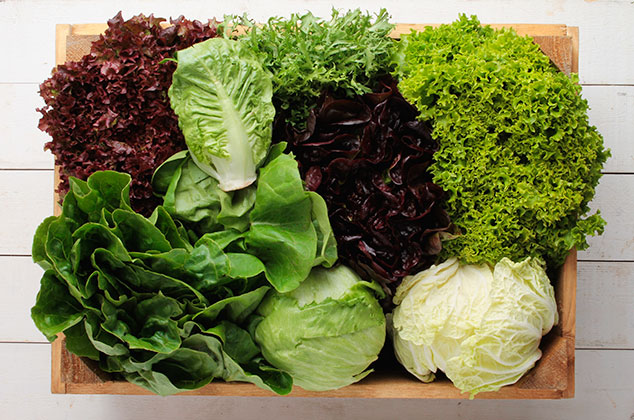 Diccionario de tipos de lechuga