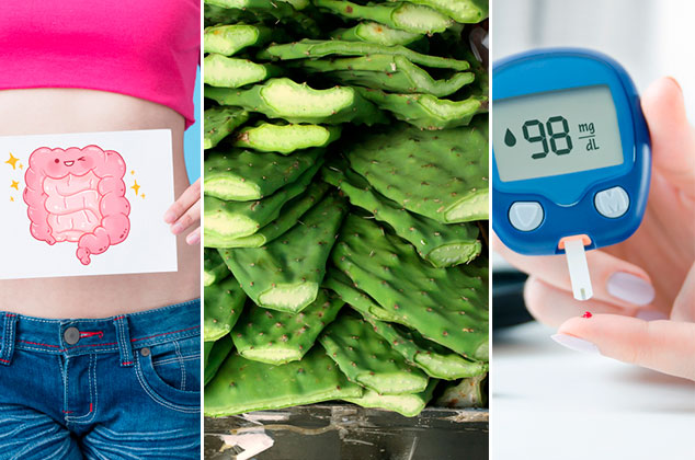 5 beneficios del nopal que tienes que conocer
