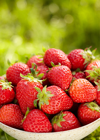 fresas