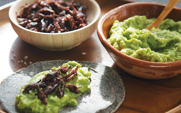 Guacamole-con-chapulines