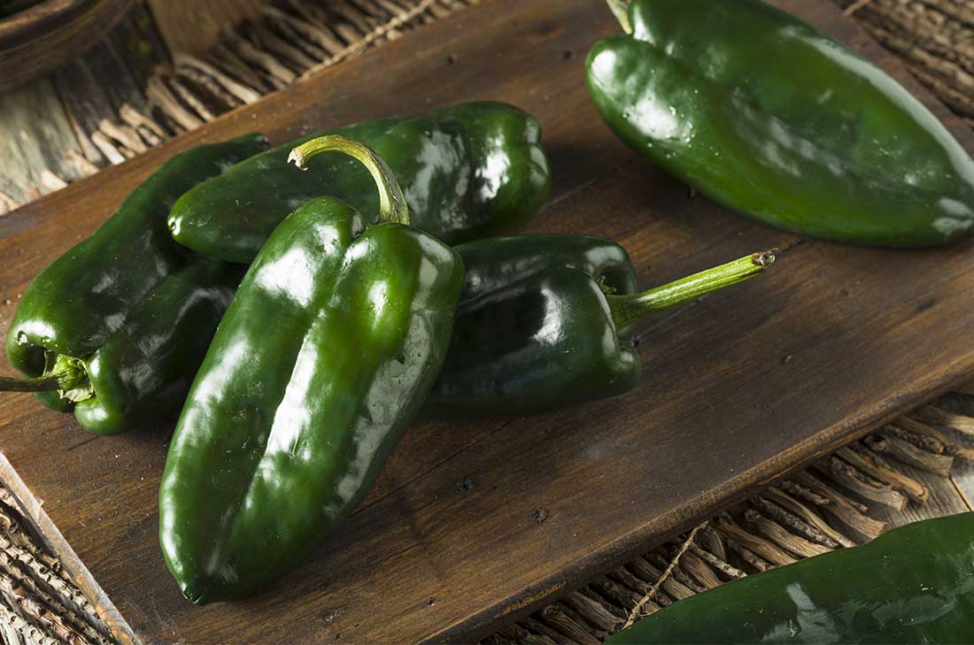 10 recetas con chile poblano perfectas para chuparse los dedos 10