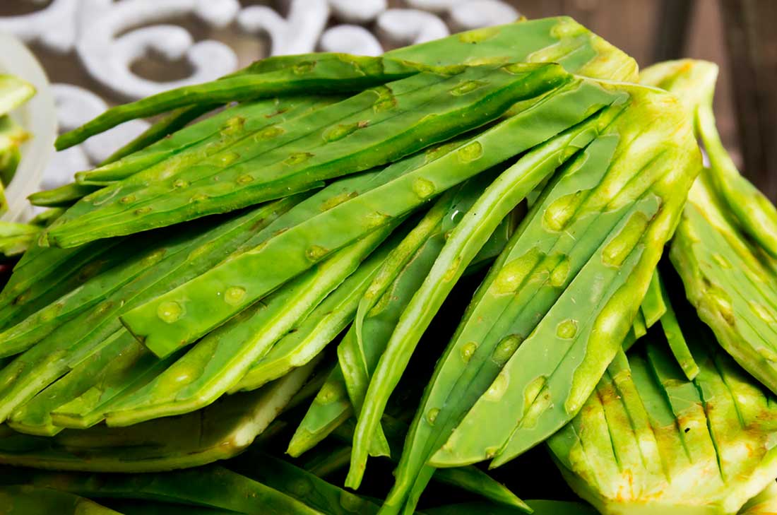 Mascarilla de nopal para hidratar la piel 0