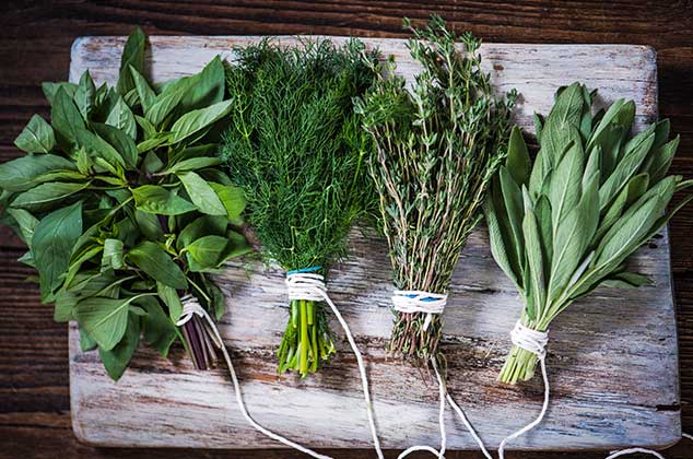 6 hierbas aromáticas, sus beneficios y usos en la cocina