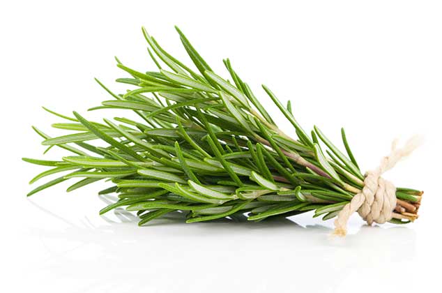 6 hierbas aromáticas, sus beneficios y usos en la cocina 1