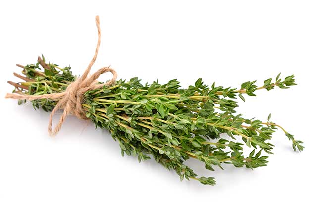 6 hierbas aromáticas, sus beneficios y usos en la cocina 4