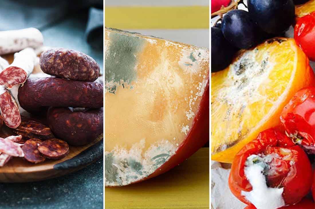 Alimentos con moho: ¿Cuáles puedes rescatar y cuáles debes desechar?