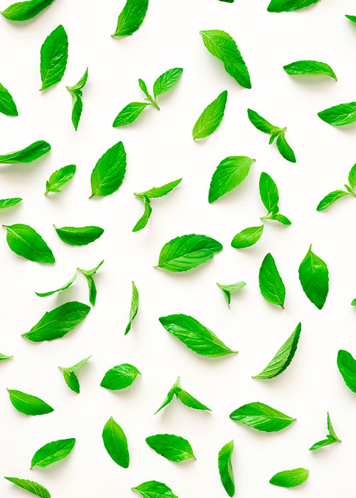 alimentos para el mal aliento: menta, albahaca, perejil