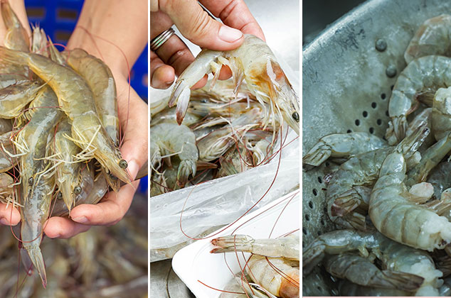Tips para comprar y limpiar camarones | ¿Cómo sé si los camarones sirven?