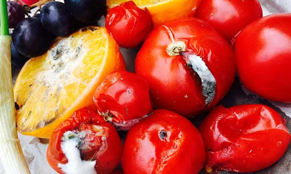 Frutas y verduras con moho