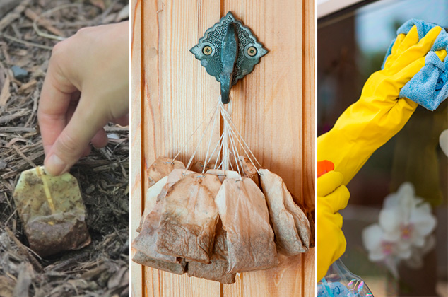 9 increíbles maneras de reutilizar las bolsas de té