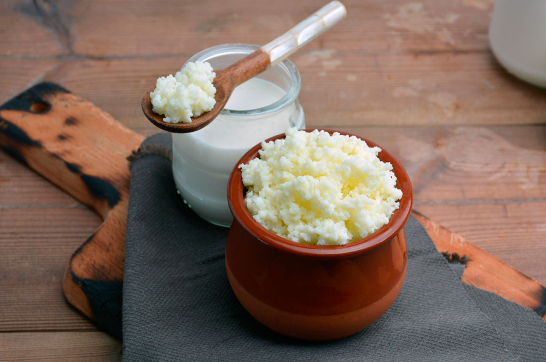 Búlgaros de leche | Aprende cómo hacerlos y cuáles son sus beneficios 0