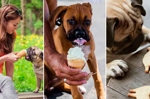 Consiente a tus compañeros peludos con estas recetas de helados y galletas para perros, puedes hacerlas fácilmente en la comodidad de tu hogar, ¡las amará!
