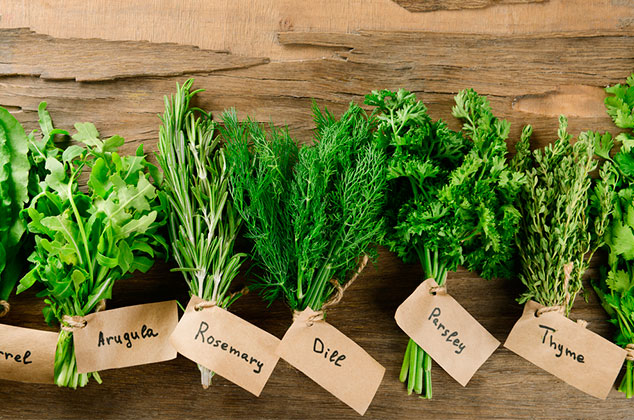 10 tips para mantener las verduras frescas durante más tiempo | Cómo mantener verduras frescas durante más tiempo