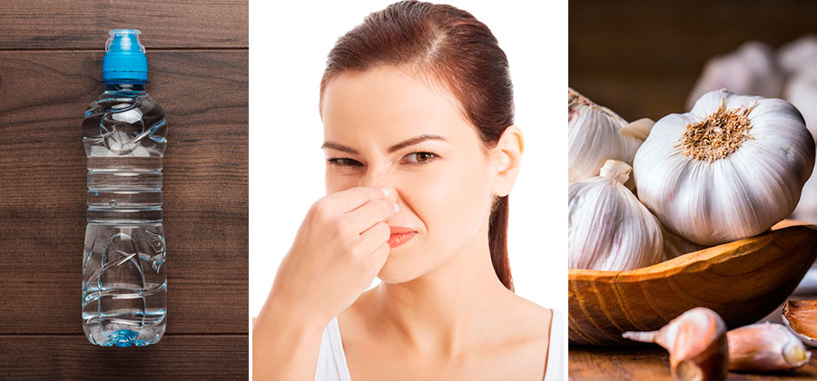Alimentos que disminuyen el mal olor corporal