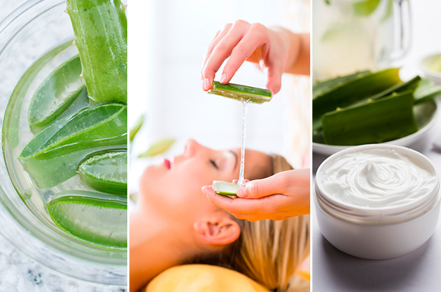 Aloe vera o sábila para hidratar la piel, ¡lucirá doblemente hermosa! | Receta