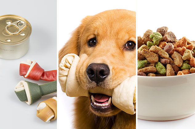 Qué tipo de alimentos limpian y cuidan los dientes de los perros | Higiene bucal en perros
