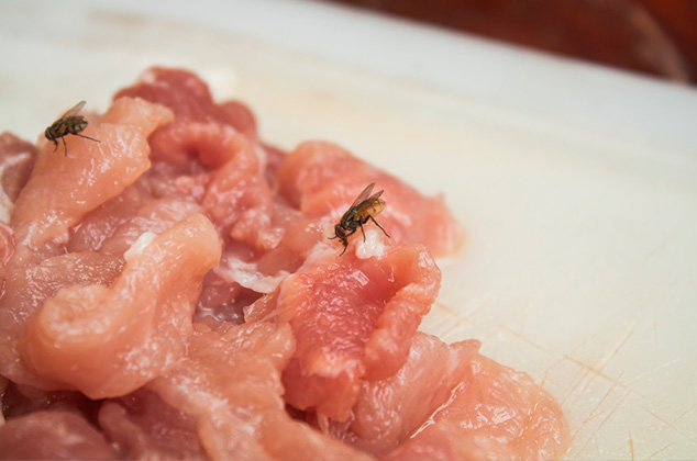 Cómo saber si los alimentos están echados a perder... observa, toca y huele | CARNE