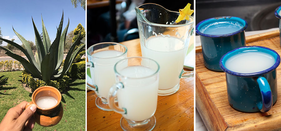 10 asombrosos beneficios del pulque, "la bebida de los dioses"