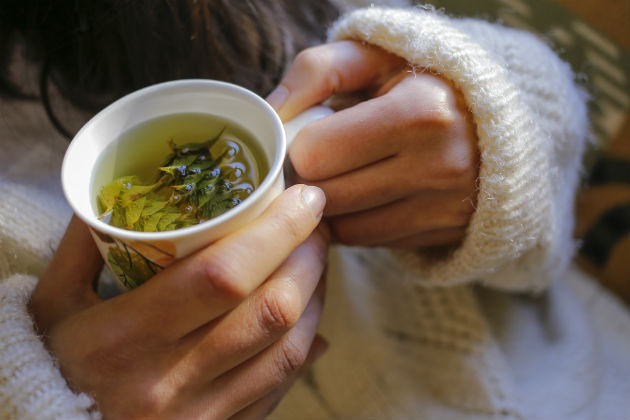 7 increíbles beneficios de consumir yerba mate