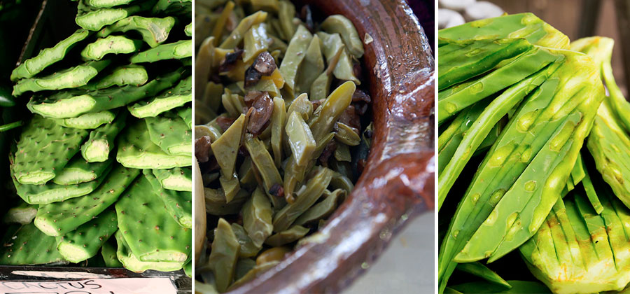 Cómo cocinar nopales correctamente de manera sencilla