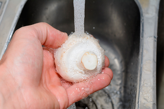 Cómo lavar y cocinar champiñones fácill y rápidamente