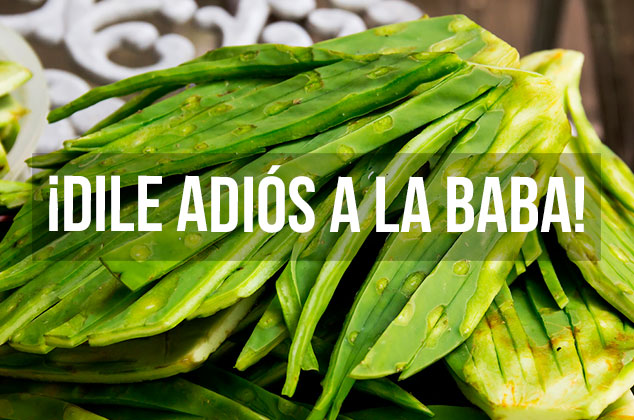 Cómo quitarle la baba al nopal