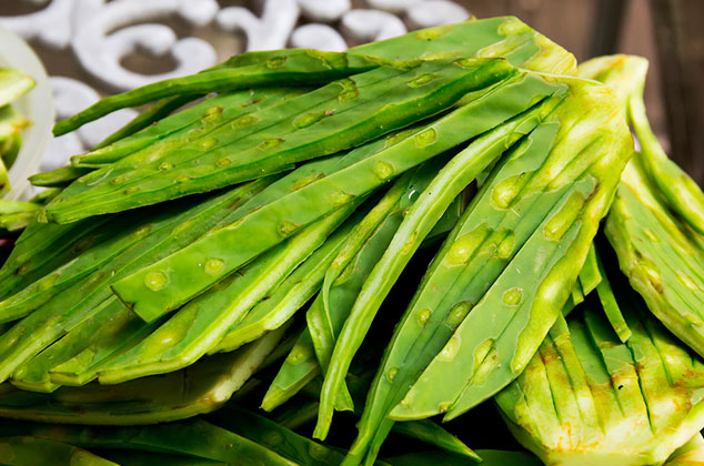 Cómo eliminar la baba del nopal | Desflemar nopales