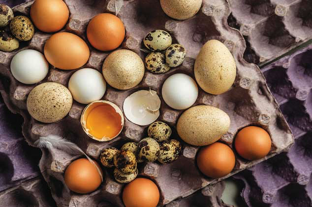 Tipos de huevo que debes conocer