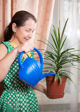 usos-cascaras-huevo-regar-plantas