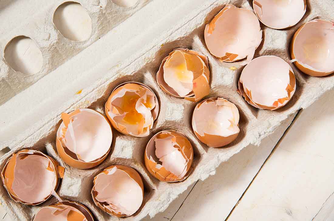 9 increíbles usos de la cáscara de huevo en el hogar