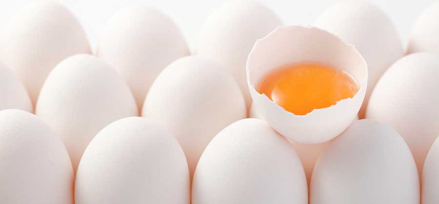 Alimentos que pensabas que engordaban 5