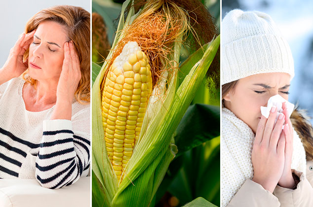 Para qué sirven los pelos de elote, propiedades y beneficios