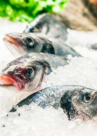 5 cosas que debes saber para preparar platillos con pescado crudo 0