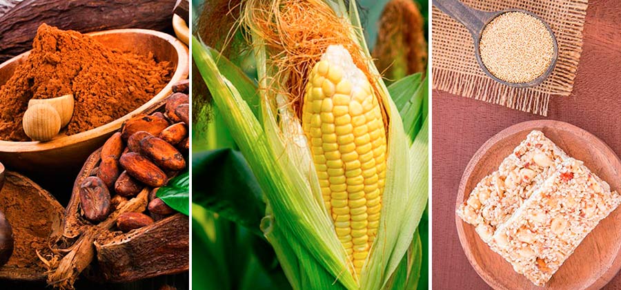 10 alimentos prehispánicos que se consumen en la actualidad