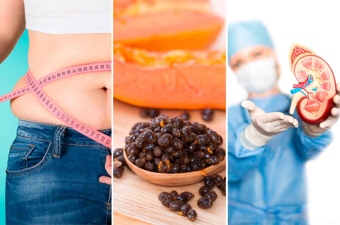 Seguro las desechas, pero en cuanto sepas los beneficios de las semillas de papaya querrás consumirlas todo el tiempo. Checa para que sirven aquí.