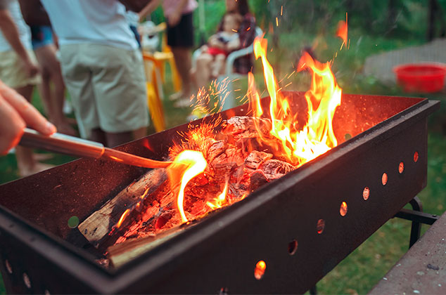 Cuál es el mejor carbón para el asador | Tipos y características