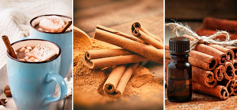 Usos de la canela en la cocina que debes de conocer