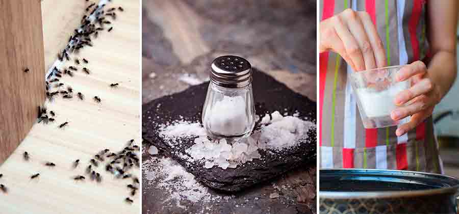 Increíbles y prácticos usos de la sal en el hogar que no conocías