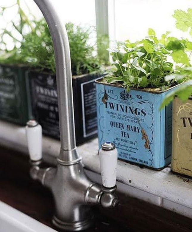8 formas de plantar tus hierbas olor con materiales reciclados de tu cocina 5