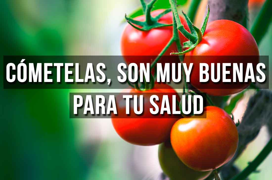 Si eres de las personas que desechan estas semillas, aquí te decimos los beneficios de comer las semillas de jitomate. Aportan mucho a tu salud.