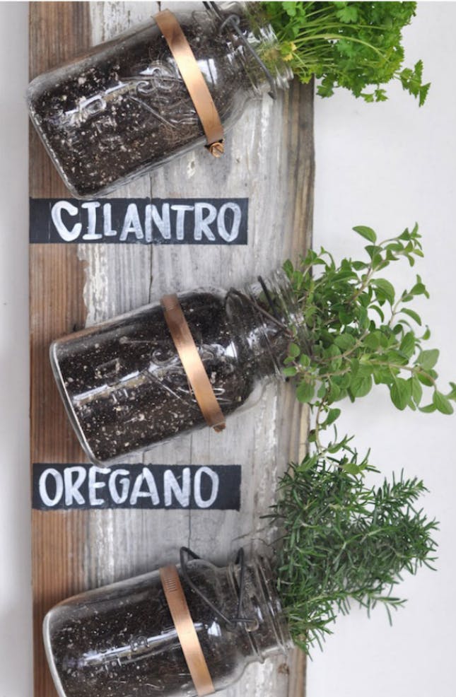 8 formas de plantar tus hierbas olor con materiales reciclados de tu cocina 3