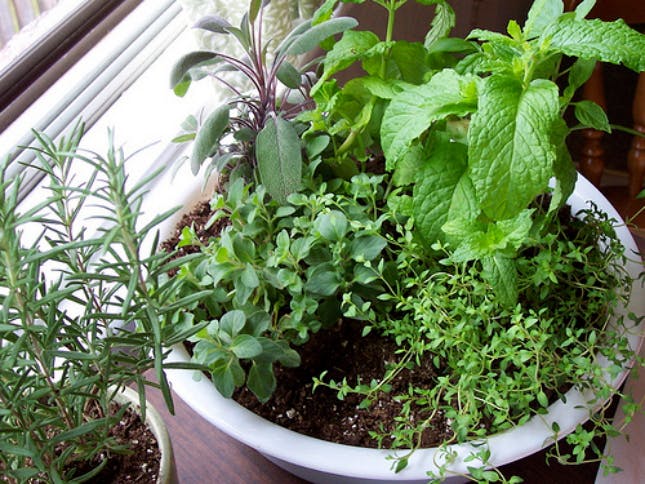 8 formas de plantar tus hierbas olor con materiales reciclados de tu cocina 8