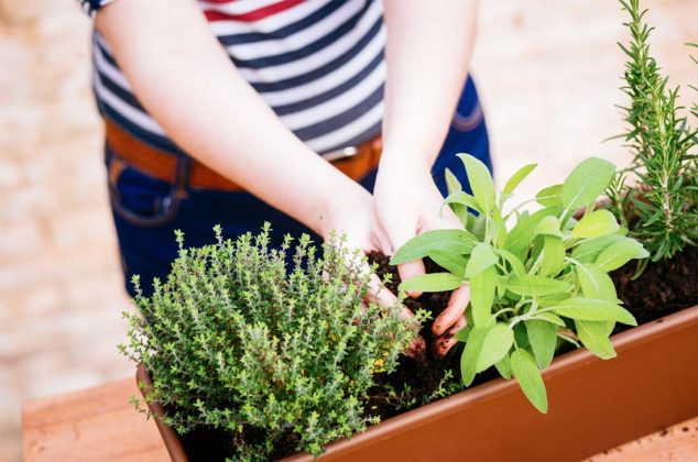 8 formas de plantar tus hierbas olor con materiales reciclados de tu cocina