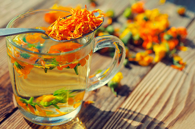 10 tradicionales usos medicinales de la flor de cempasúchil | Beneficios