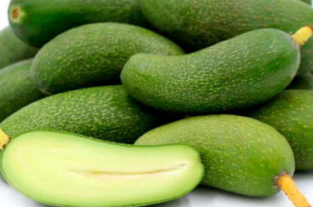 El nuevo aguacate ¡Sin hueso! 2