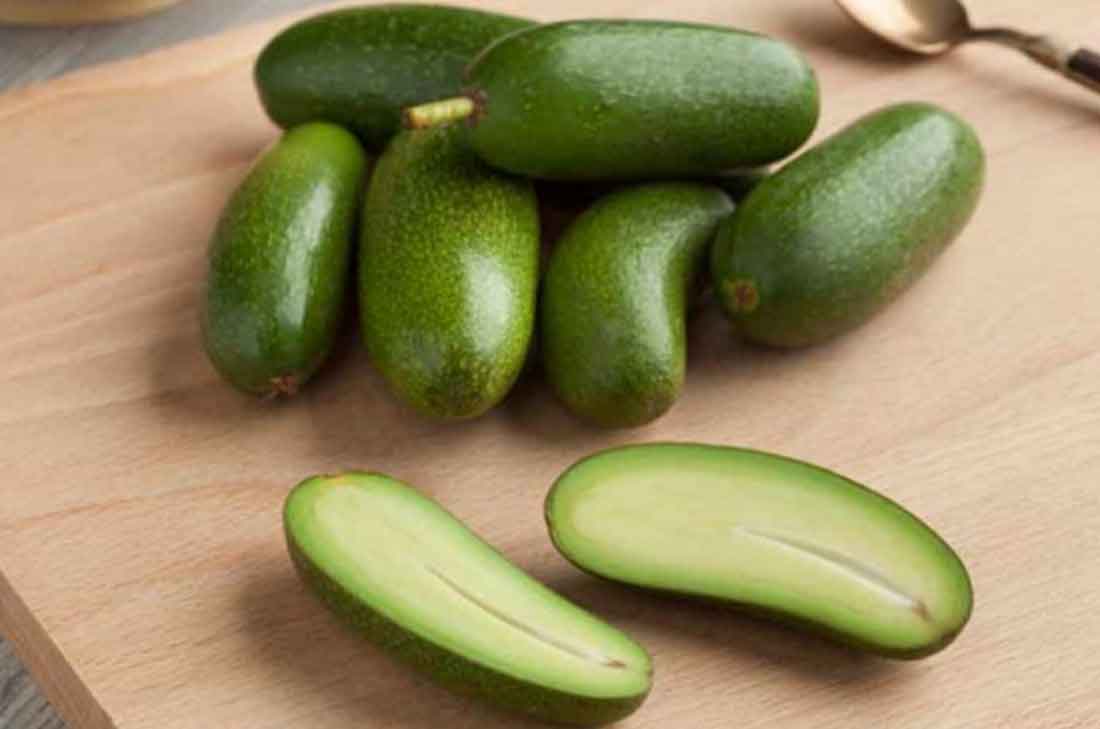 El nuevo aguacate ¡Sin hueso! 0