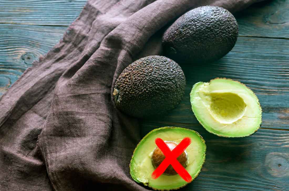 El nuevo aguacate ¡Sin hueso!